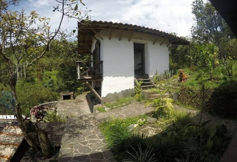 Viga Vieja Cabaña Rustica By Nomad Guru