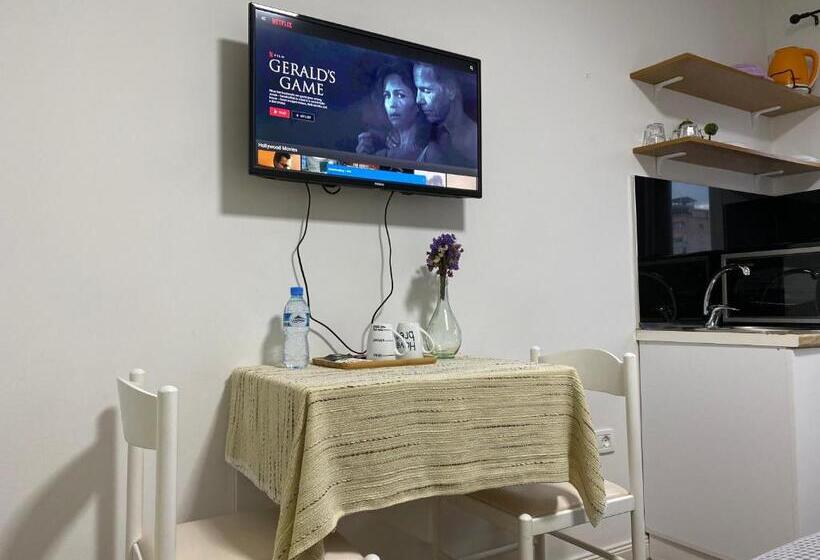 Central Studio Apartments