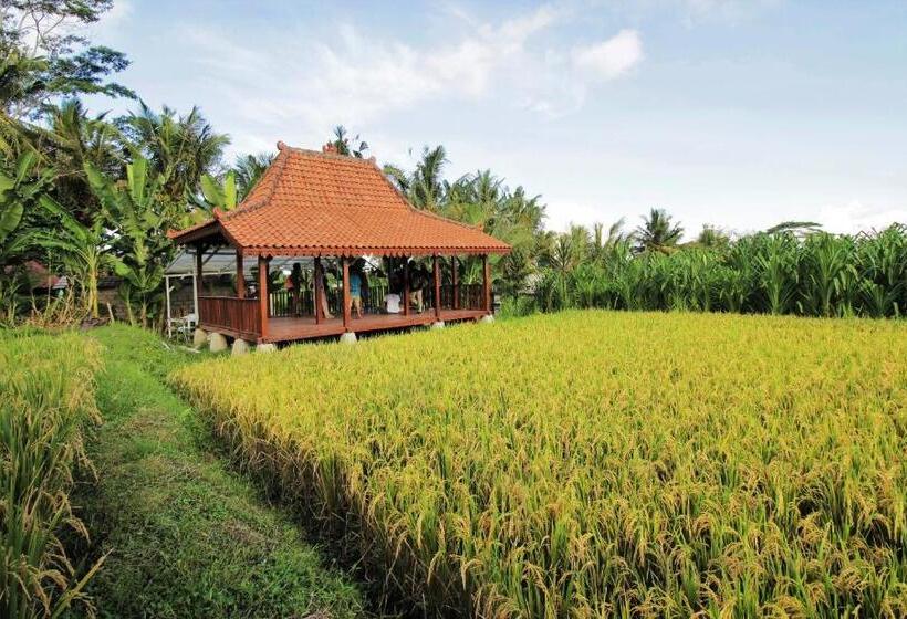 בית מלון כפרי Alam Kawi Ubud Resort & Spa