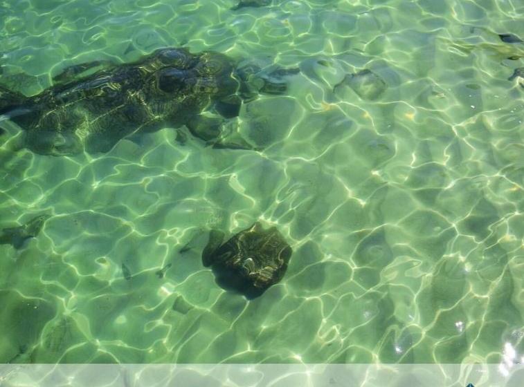 ホテル Angra Beach