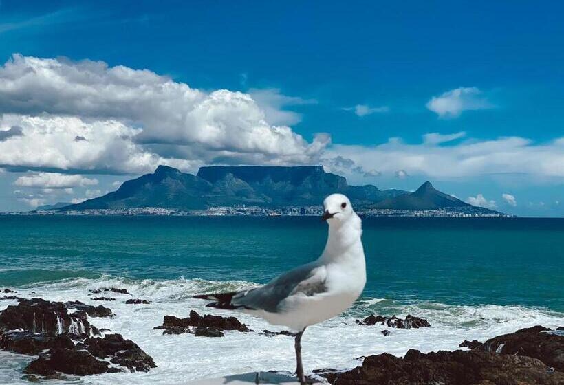 בית מלון כפרי Belle Maroc