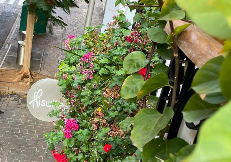 فندق Emblemático Hi Suites