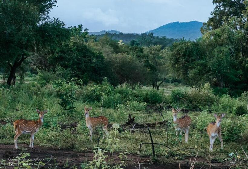 فندق Lakegala Resort