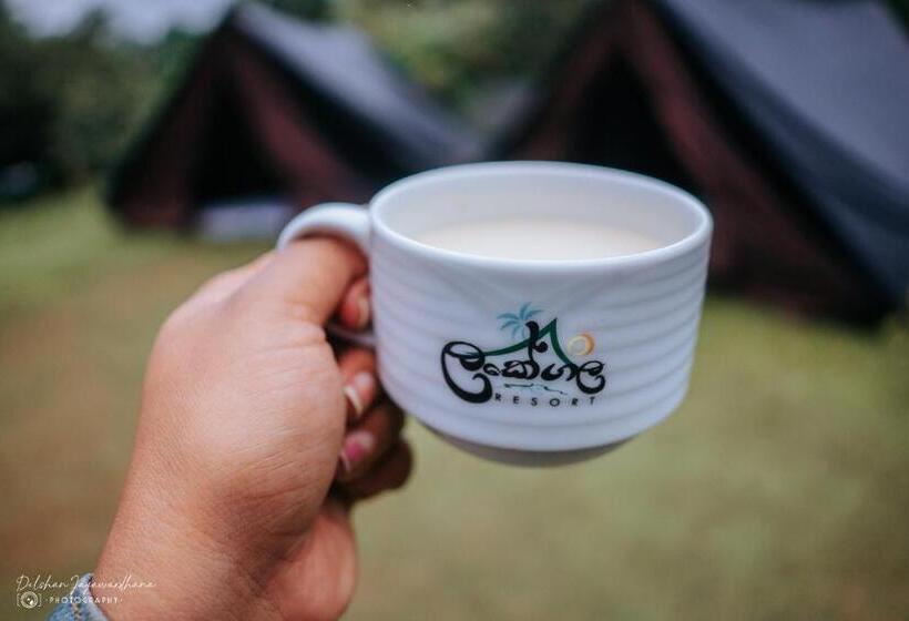 בית מלון כפרי Lakegala Resort