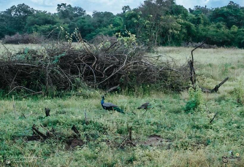 בית מלון כפרי Lakegala Resort
