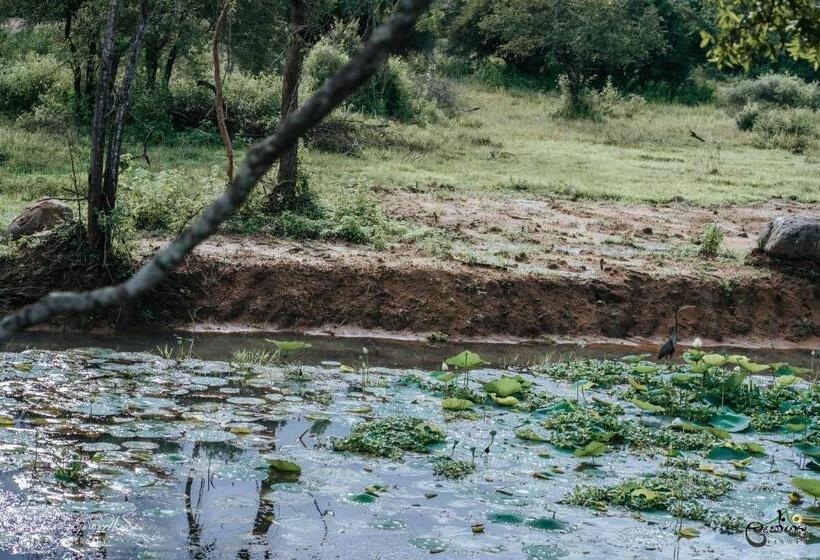 فندق Lakegala Resort