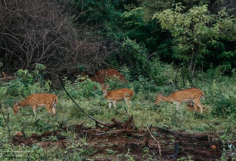 فندق Lakegala Resort