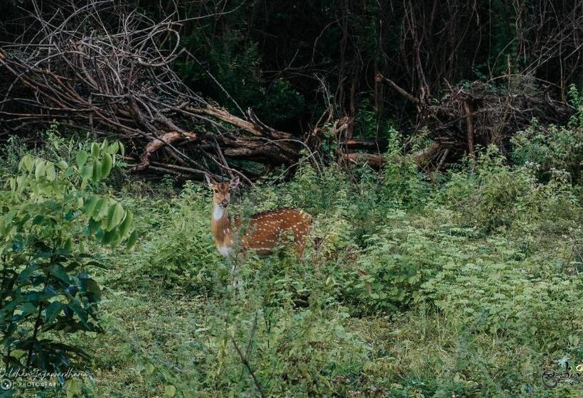 فندق Lakegala Resort