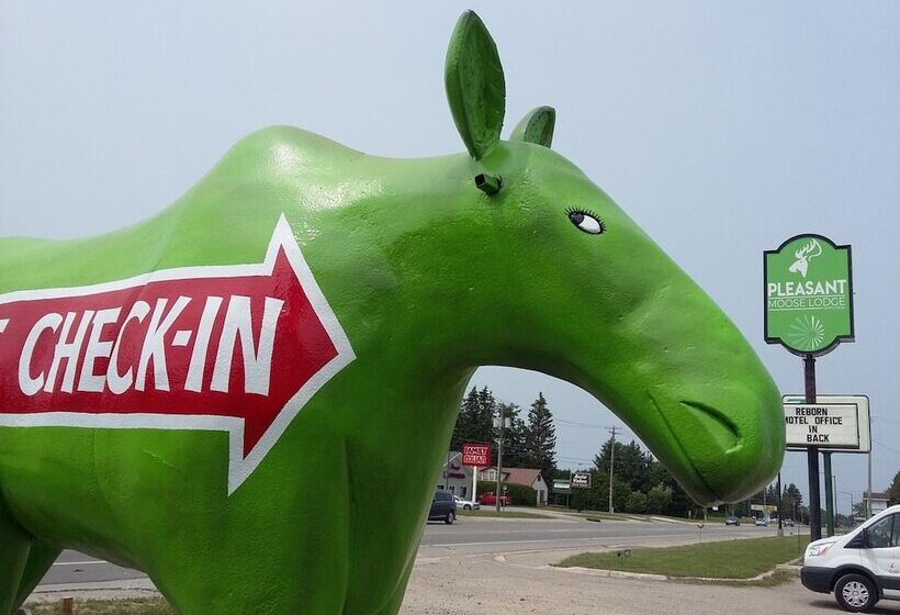 فندق Pleasant Moose Lodge