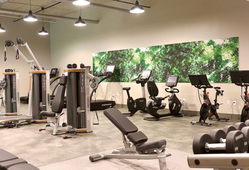 בית מלון כפרי Staybridge Suites Rochester   Mayo Clinic Area, An Ihg