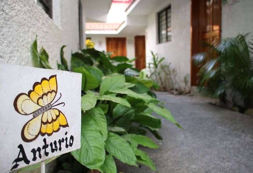 فندق Suites Ejecutivas Los Arcos