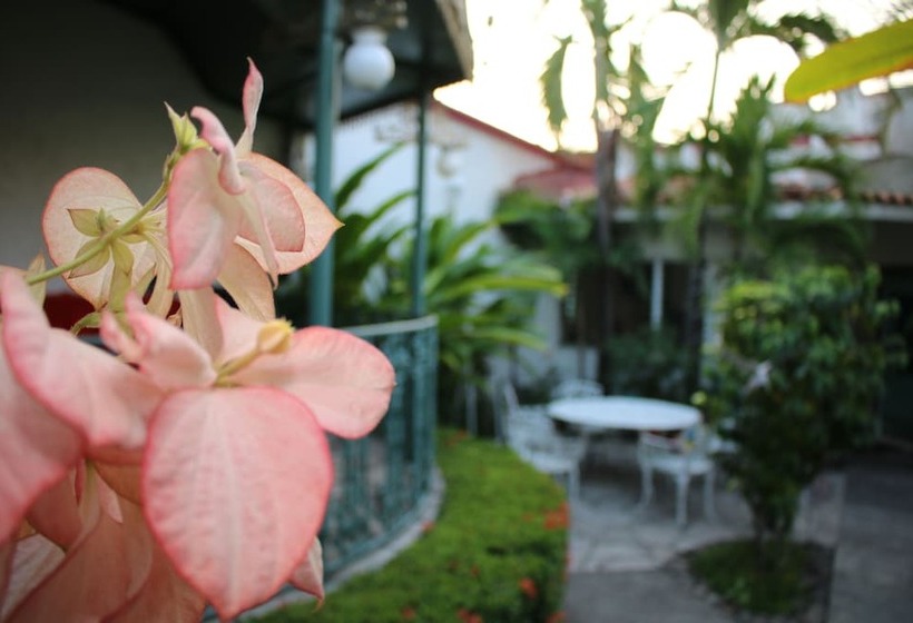 فندق Suites Ejecutivas Los Arcos