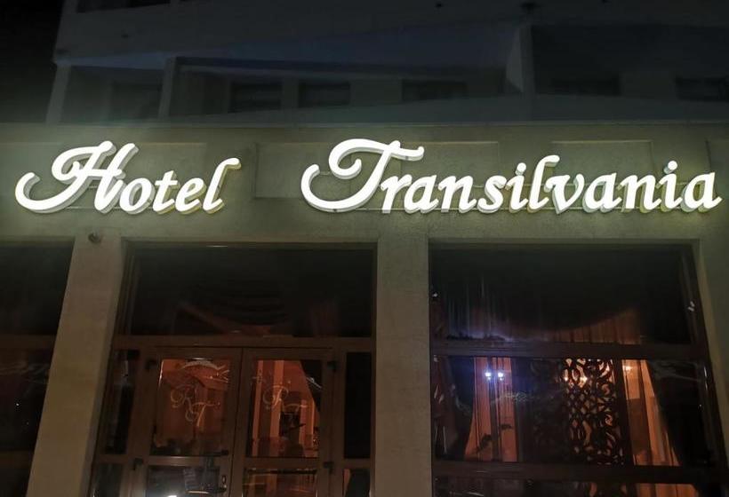 Отель Transilvania Zalău
