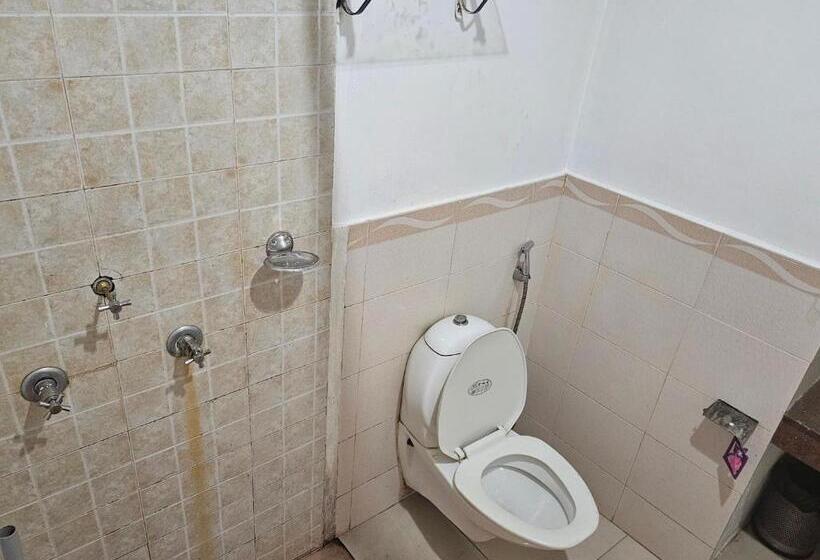 Piggy Hostel Calangute