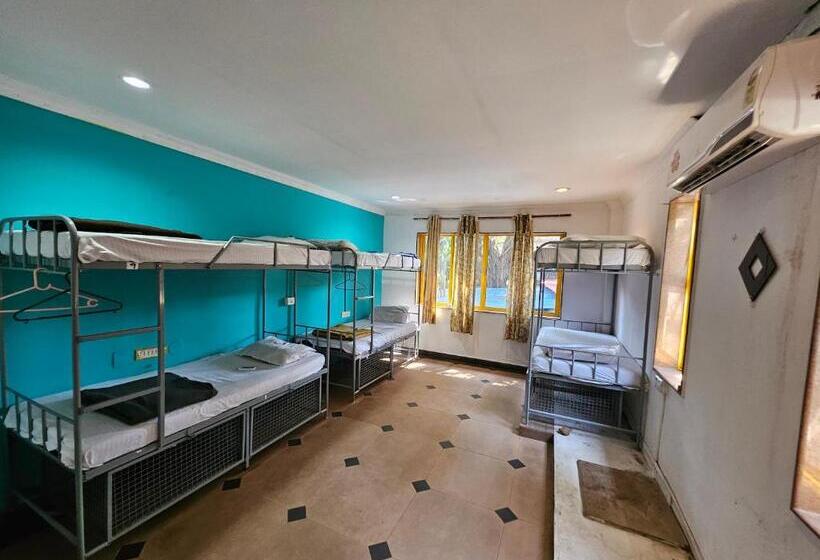 Piggy Hostel Calangute