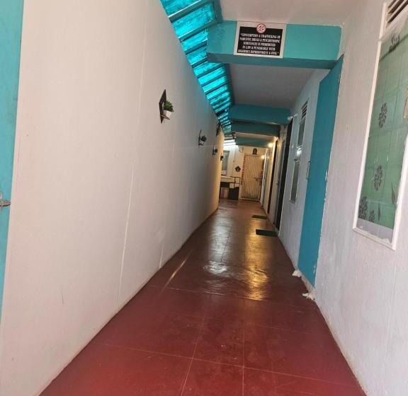 Piggy Hostel Calangute