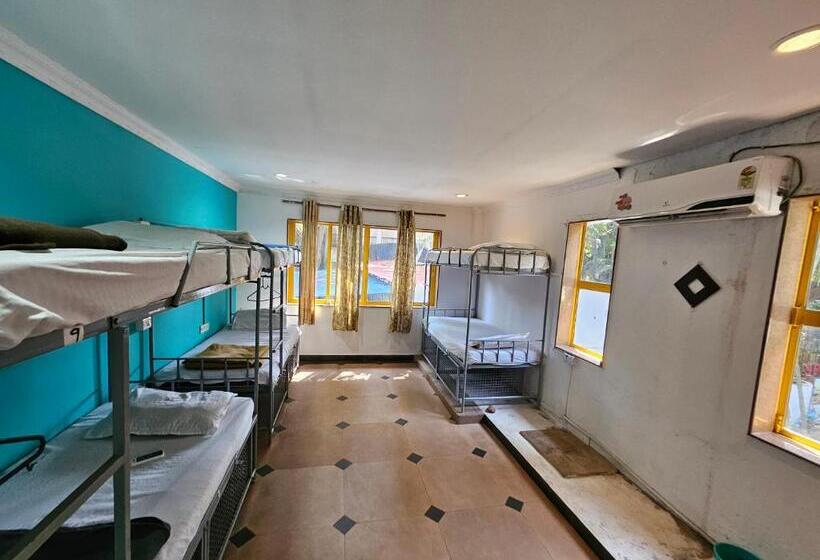 Piggy Hostel Calangute
