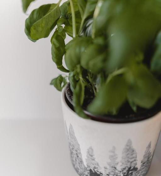 Presidential Suite Mountain/lake Views W/heated Pools Pga West