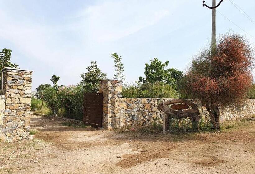 منتجع Bijapur Lodge Jawai