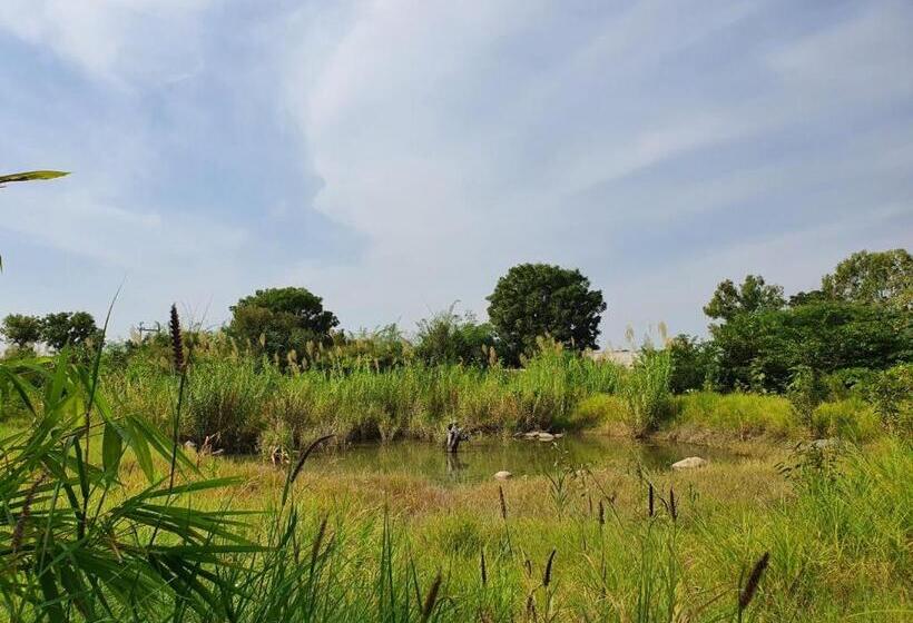 منتجع Bijapur Lodge Jawai