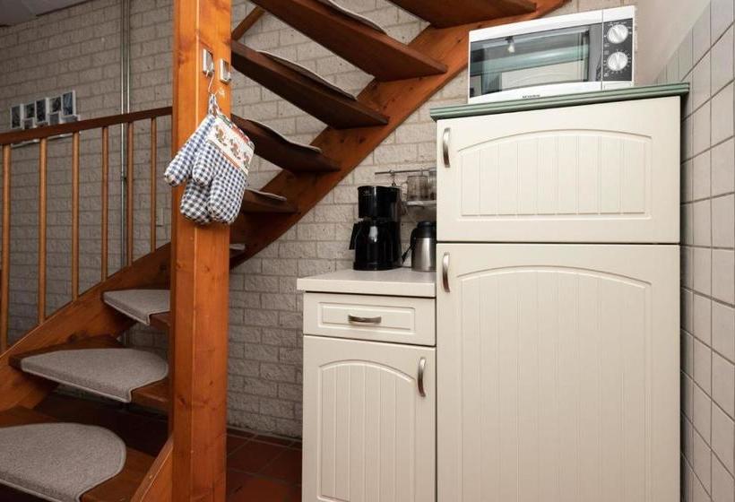 リゾートホテル Holidayhouse   Het Smallengange 45 Kortgene