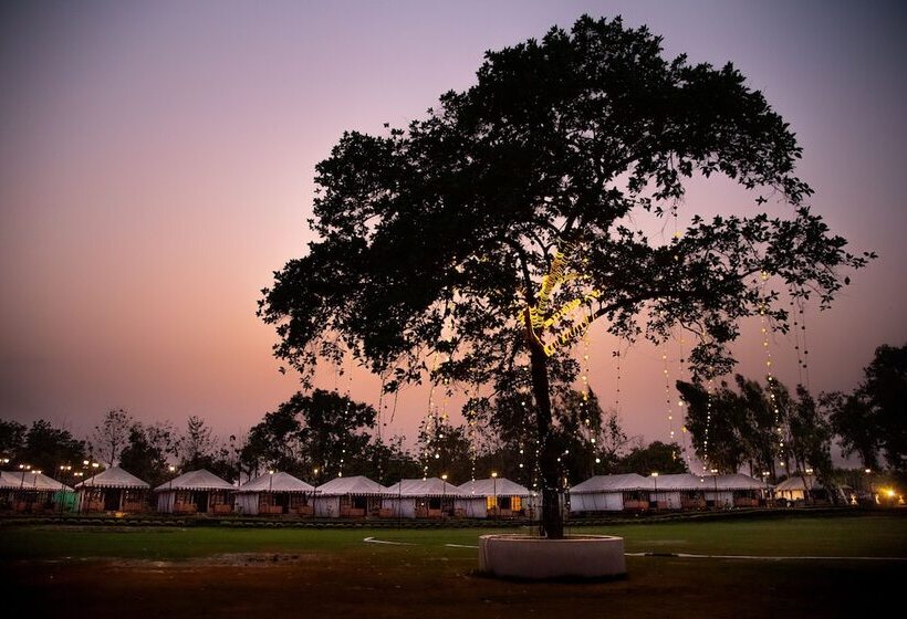 渡假胜地  Om Vilas Benares, Varanasi