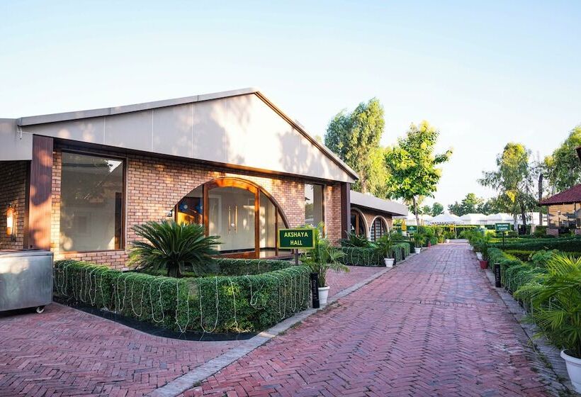 渡假胜地  Om Vilas Benares, Varanasi