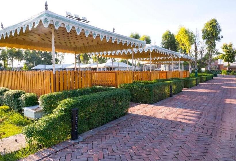 渡假胜地  Om Vilas Benares, Varanasi