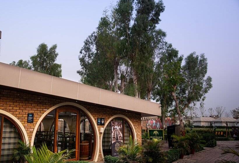 渡假胜地  Om Vilas Benares, Varanasi