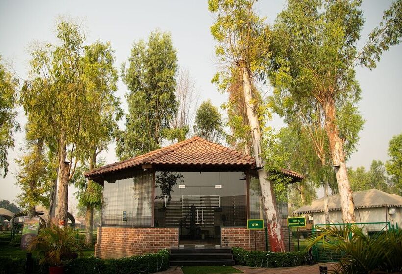 渡假胜地  Om Vilas Benares, Varanasi