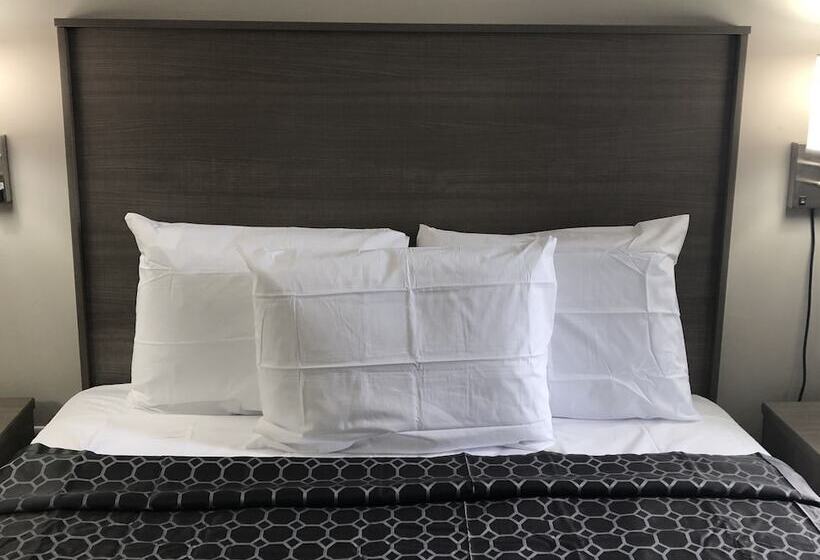 Trolley Stop Motel, Media ,near Phl Airport Pa