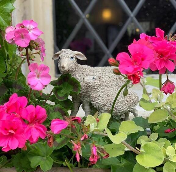 הוסטל Shoulder Of Mutton Inn