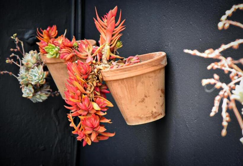 צימר Beautiful Betty Guesthouse