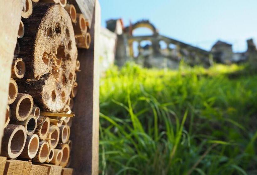 צימר La Belle Etoile