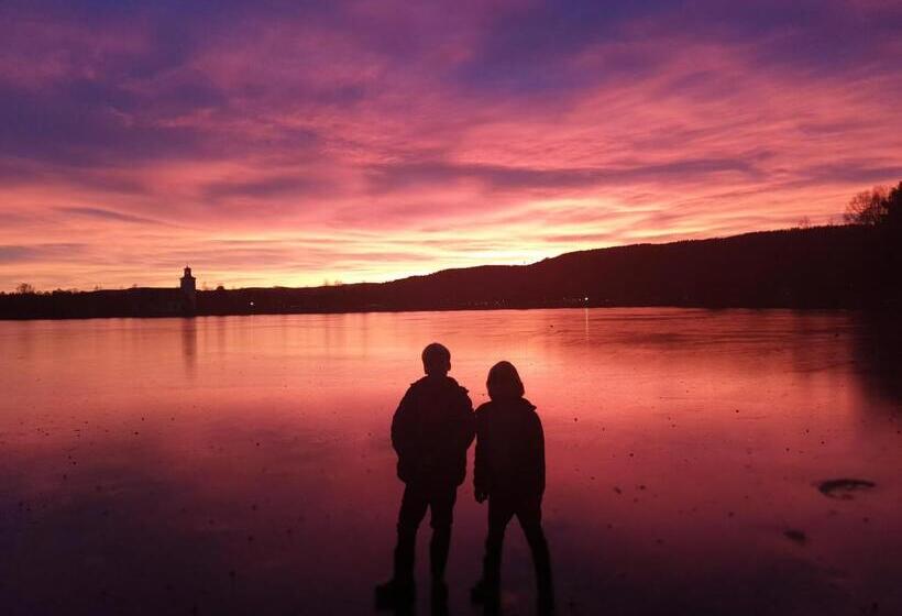 Hostel And Vandrarhem Lupin Naturcamping Lagom