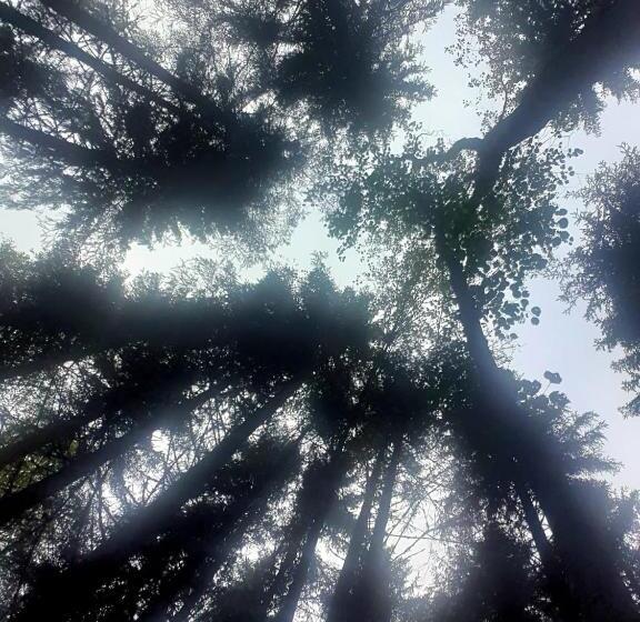 Hostel And Vandrarhem Lupin Naturcamping Lagom