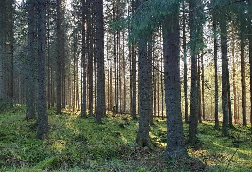 Hostel And Vandrarhem Lupin Naturcamping Lagom