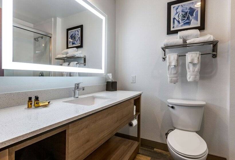 בית מלון כפרי Best Western Plus Casa Grande Inn & Suites