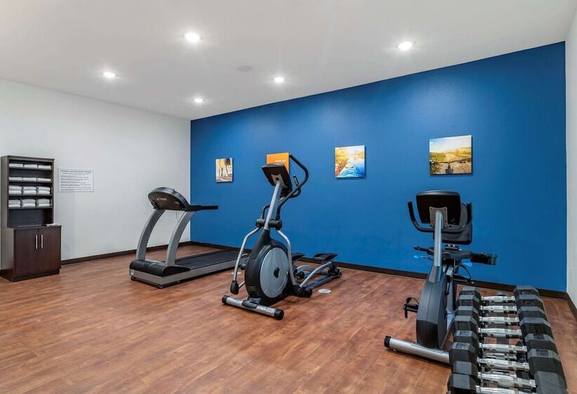 فندق Comfort Inn & Suites