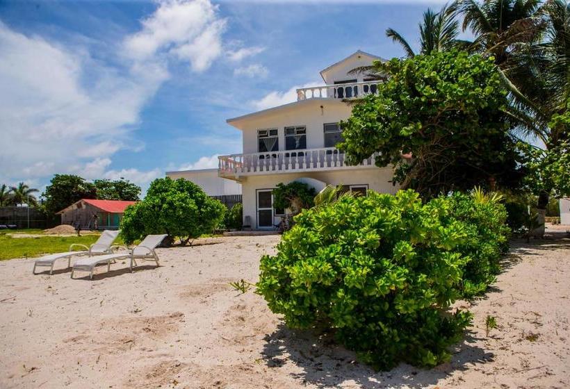 فندق Flying Cloud