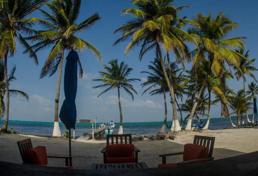 فندق Flying Cloud