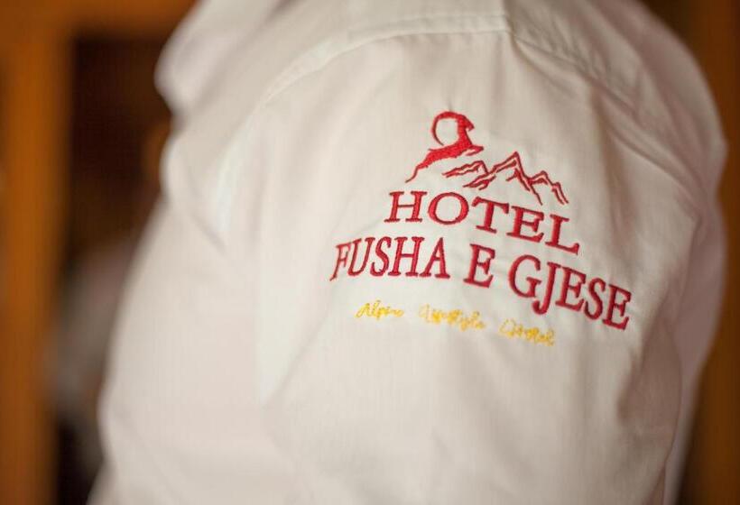 호텔 Fusha E Gjes