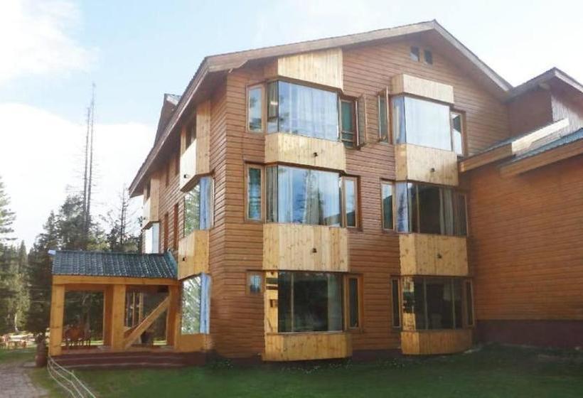 בית מלון כפרי Pine Palace Platinum