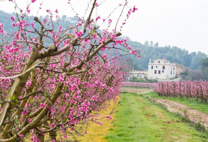 هتل Rural Mas De L Illa