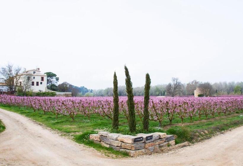 هتل Rural Mas De L Illa