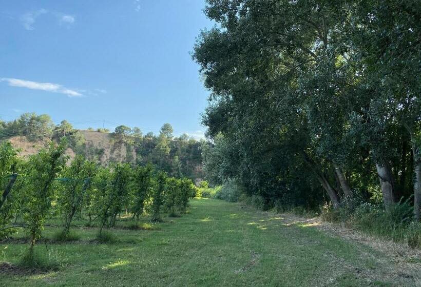 هتل Rural Mas De L Illa
