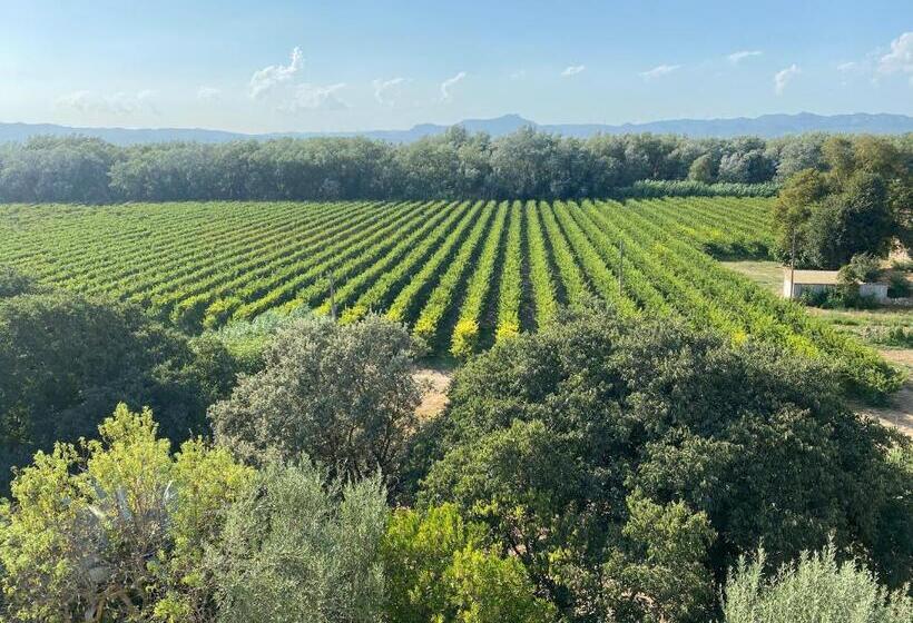 هتل Rural Mas De L Illa