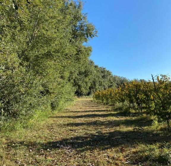 هتل Rural Mas De L Illa