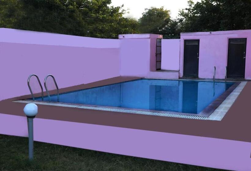 בית מלון כפרי The Forest View Resort