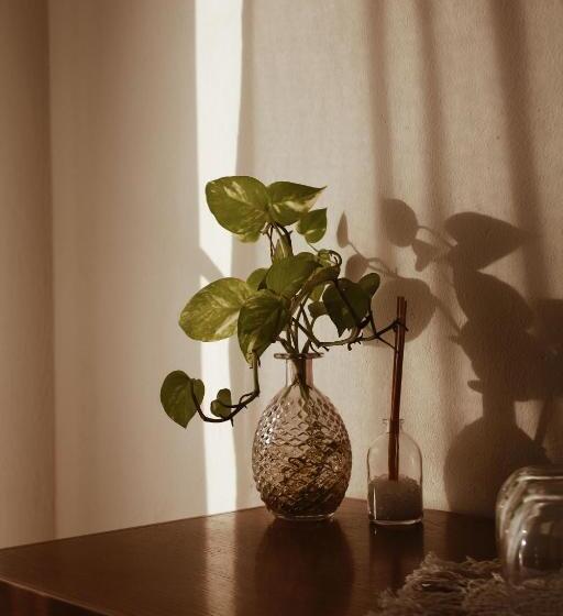 Noah Beach Hotel & Suites